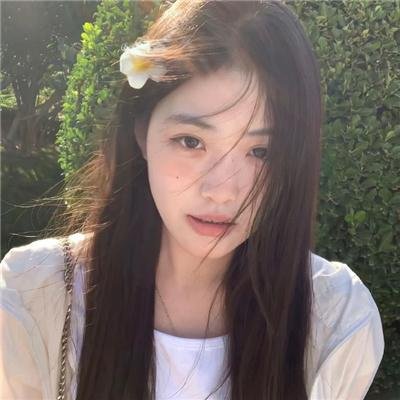 礼貌社会